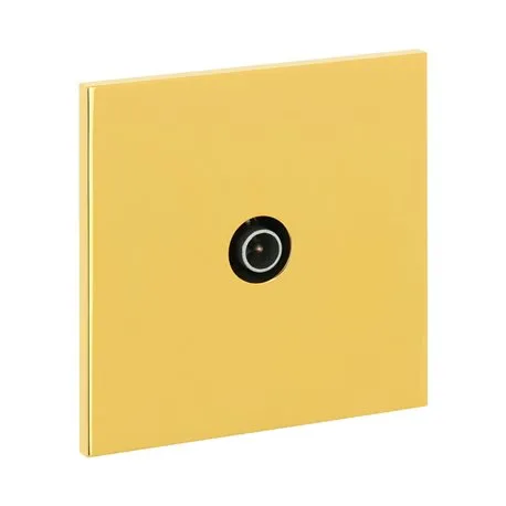 Prise TV or miroir Art d'Arnould univers Epure 67729 par Legrand