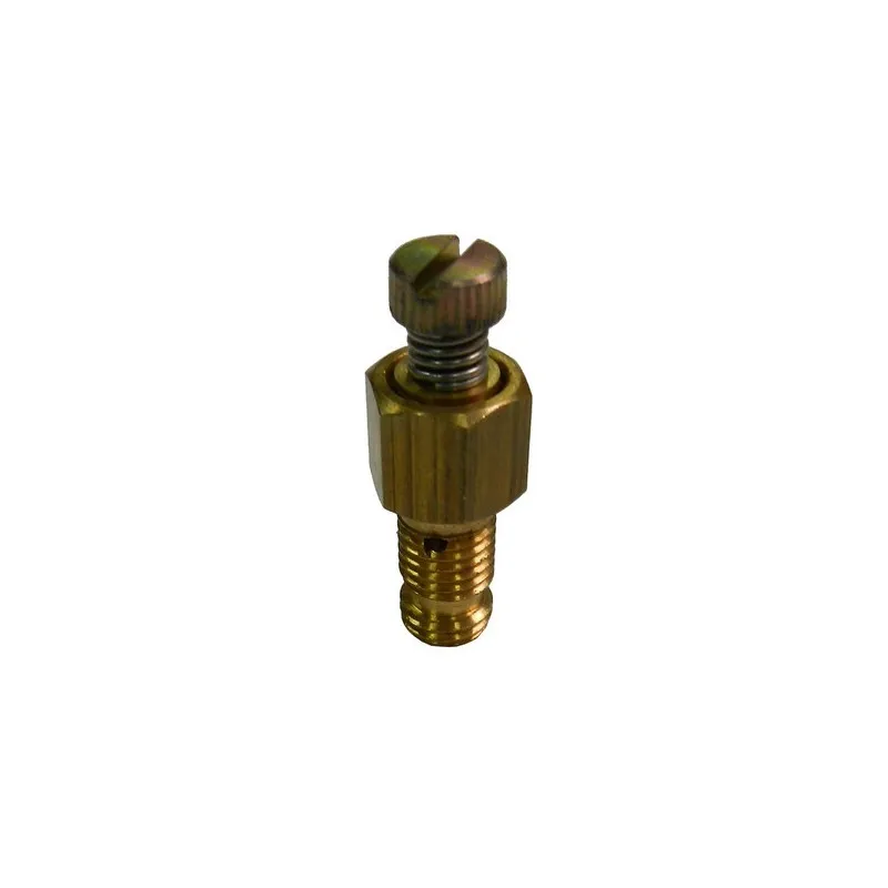 Vis de cuve carburateur moteur Tecumseh